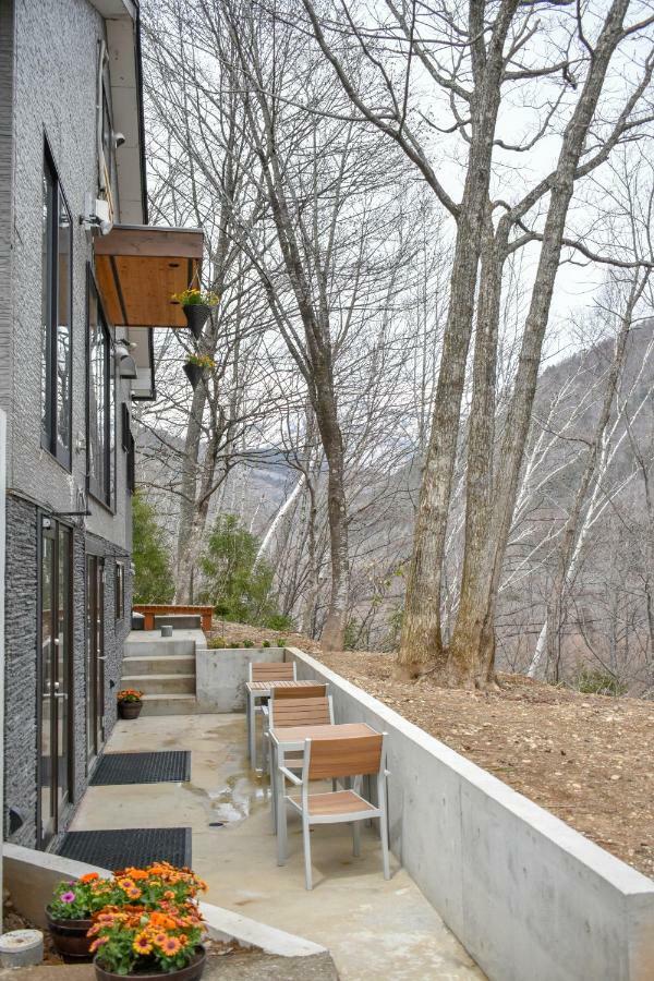 Penke Panke Lodge And Apartments Hakuba Extérieur photo